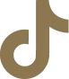 TikTok icon