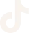 TikTok Icon